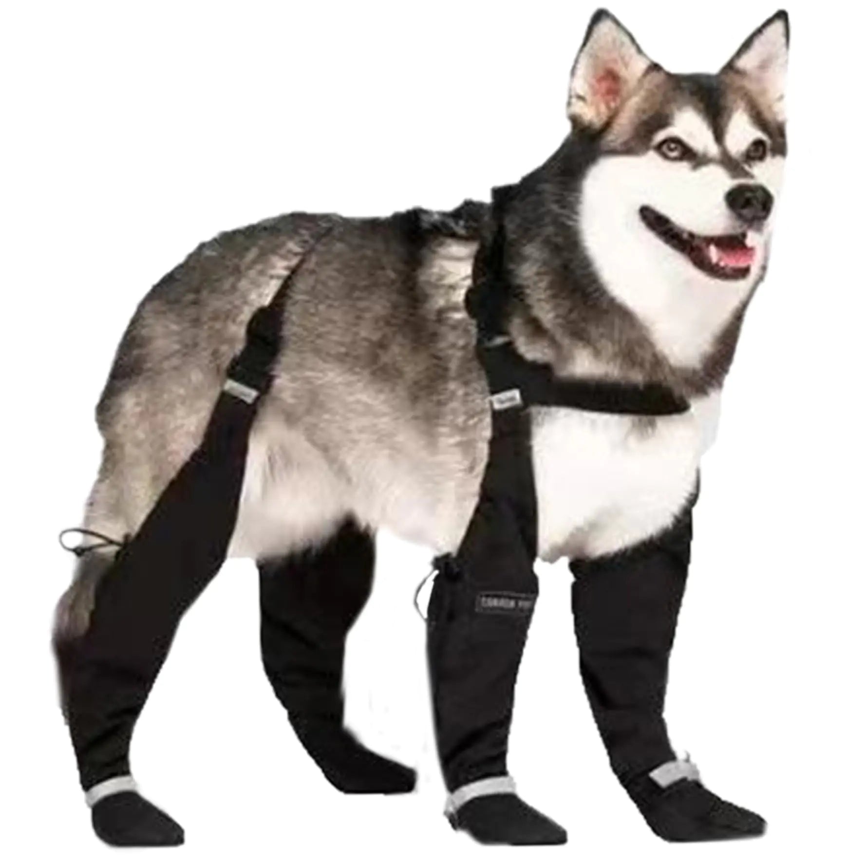 XXL-Dog Rain Boots Waterproof Dog Boots with Suspenders Anti-Slip Dog Shoes Reflective Dog Boots & Paw Protectors for Medium Large Dogs Dog Shoes for Hiking Rainy and Snowy Days